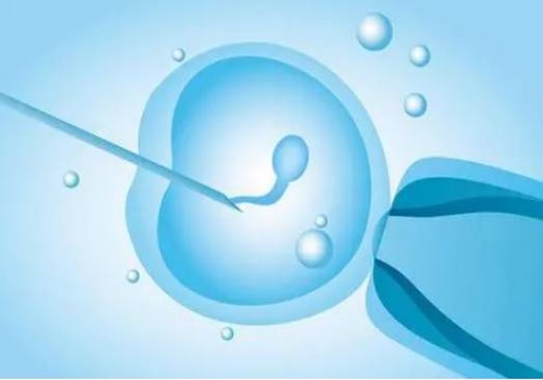厦门助孕公司：2023北京三代供卵试管婴儿费用明细，由五部分组成