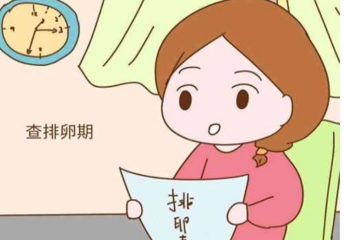 厦门试管婴儿价格：窦卵泡的情况就是这些，搞清楚更有利于备孕